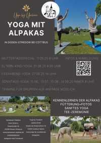 Alpaka Yoga Dissen Striesow bei Cottbus